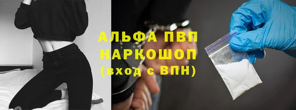 СК Абинск