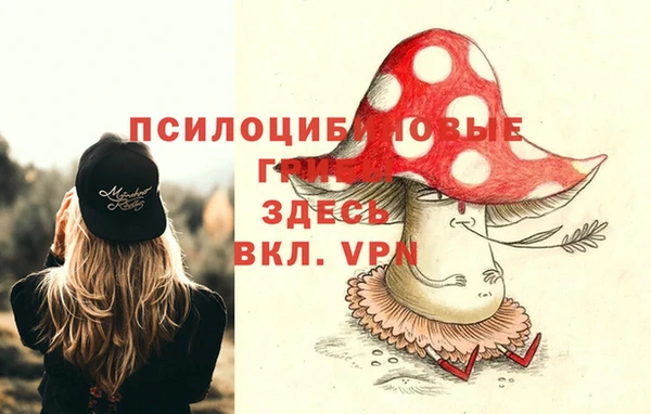твердый Алексин